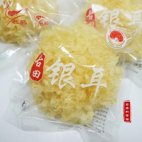 福建宁德特产《古田银耳》