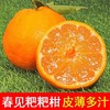 春见耙耙柑（产地直发） 商品缩略图0