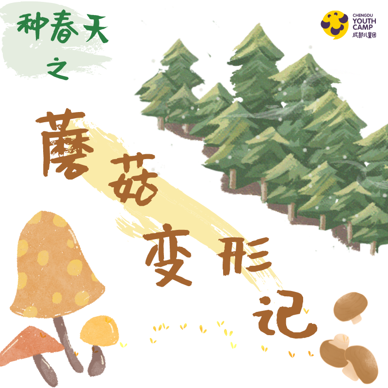 年级研学丨种春天·蘑菇变形记·春季限定