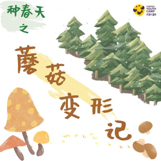 年级研学丨种春天·蘑菇变形记·春季限定 商品图0