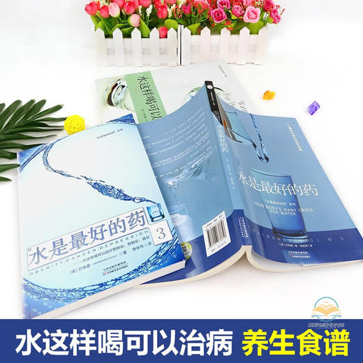 正版 套装共3册 水是最好的药123 水是最好的药 巴特曼著 水这样喝可以治病 健康饮食营养学保健养生食疗图谱书籍生活畅销书排行榜 商品图3