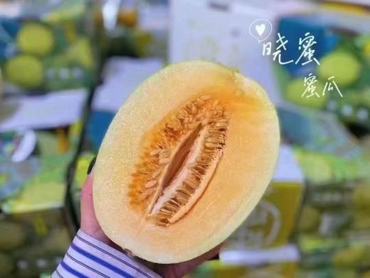 丝路晓蜜瓜单果13kg以上