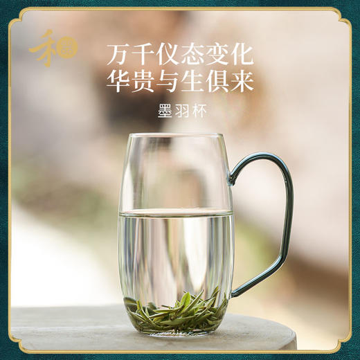 禾器 墨羽杯高硼硅耐高温幽蓝青绿成人家用玻璃办公水杯绿茶杯 商品图0