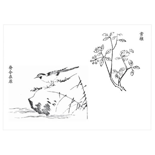 《诗经全译》 商品图3