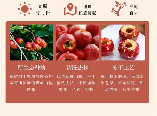 公社联盟冰糖葫芦新鲜山楂儿童休闲小零食非老北京串装25g 商品图2