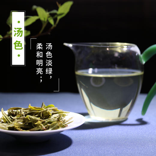 2026年新茶 梅家坞 汉合龙井 250克 传统纸包 特级正宗明前龙井 商品图3