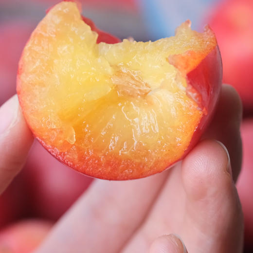 〔上海直发包邮06〕智利樱桃李 商品图1