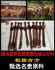 【男人的加油站】守护健康南京同仁堂黑松露海参牡蛎肽压片糖果提精力抗疲劳 商品缩略图3