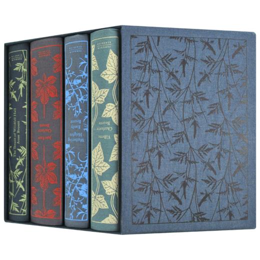 勃朗特姐妹作品4册精装 英文原版 The Brontë Sisters Boxed Set 企鹅经典文学 Penguin Classics 英文版进口原版英语书籍 商品图4