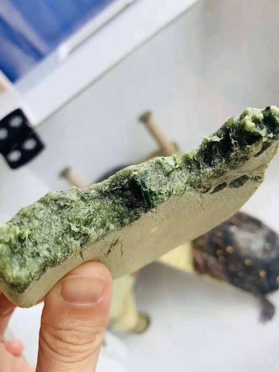 纯手工制作青饼/麻糍(舟山传统美食)