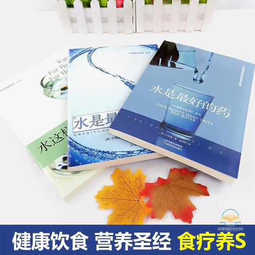 正版 套装共3册 水是最好的药123 水是最好的药 巴特曼著 水这样喝可以治病 健康饮食营养学保健养生食疗图谱书籍生活畅销书排行榜 商品图4