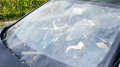 老司机解读：汽车玻璃水能用水来替代吗？