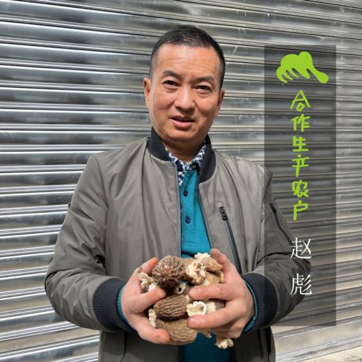 生态新鲜羊肚菌 | 合作生产* Ecological Morel  | Coproduction 商品图1