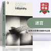 博尔赫斯小说散文选集 迷宫 英文原版 Labyrinths 小径分岔的花园 巴别图书馆 博闻强记的富内斯 英文版进口书籍 正版 商品缩略图0