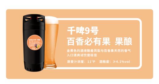 千啤9号 百香必有果 果酿 500ml 商品图0