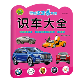 识车大全(2-5岁适用)/聪明宝宝看大书