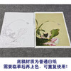 【大彩图】郎世宁工笔画白描底稿《仙萼长春册》荷花与慈姑花临摹勾线高清打印稿LT13 商品缩略图3