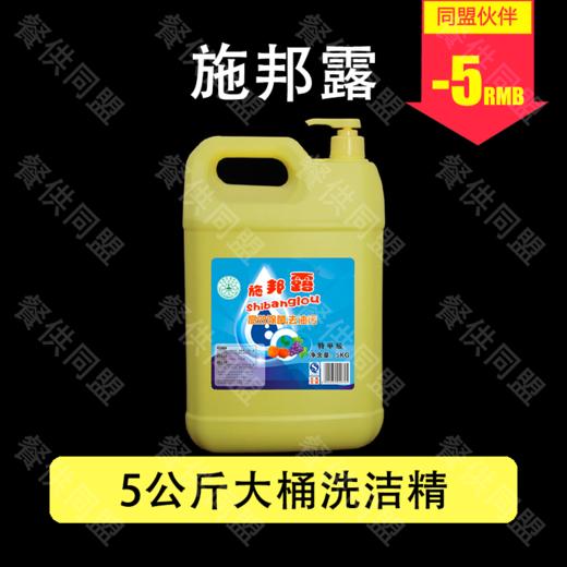 施邦露 5公斤大桶洗洁精（5kg/桶） 商品图0