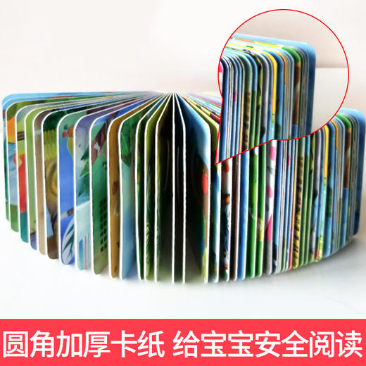 【1岁+】生命科普洞洞书（全4册） 孩子科普启蒙教育精品佳作 商品图2