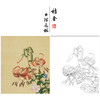 【大彩图】郎世宁工笔画白描底稿小品《仙萼长春册》百合花与缠枝牡丹临摹勾线高清打印稿LT11 商品缩略图0