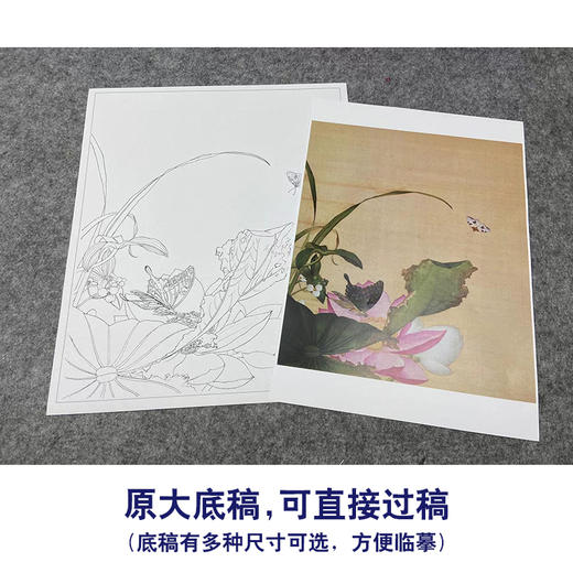 【大彩图】郎世宁工笔画白描底稿《仙萼长春册》荷花与慈姑花临摹勾线高清打印稿LT13 商品图1