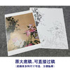 【大彩图】郎世宁工笔画白描底稿《仙萼长春册》芍药临摹勾线高清打印稿LT03 商品缩略图1