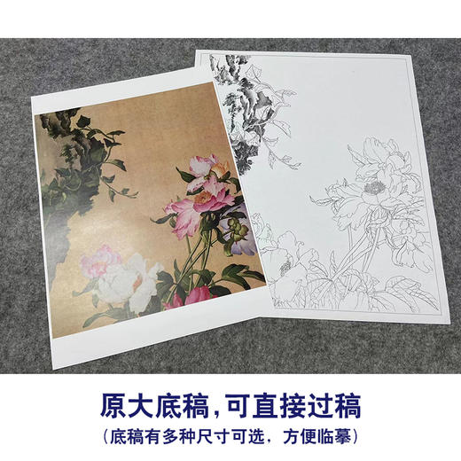 【大彩图】郎世宁工笔画白描底稿《仙萼长春册》芍药临摹勾线高清打印稿LT03 商品图1