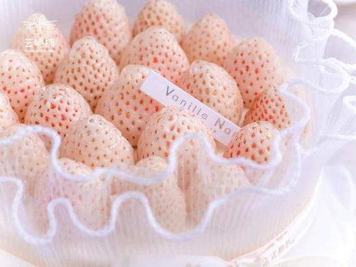 最可爱的我们（women） 商品图0