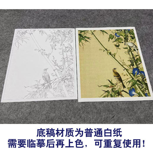 【大彩图】郎世宁工笔画白描底稿小品《仙萼长春册》翠竹牵牛花临摹勾线高清打印稿LT12 商品图3