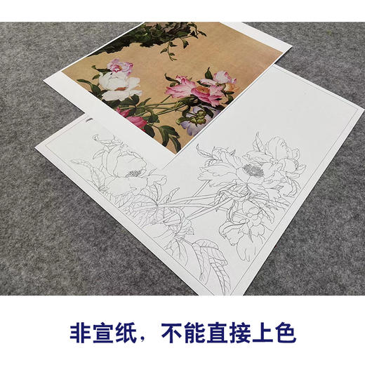 【大彩图】郎世宁工笔画白描底稿《仙萼长春册》芍药临摹勾线高清打印稿LT03 商品图2