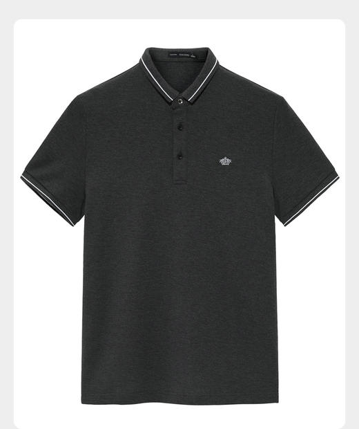 太平鸟男装 夏季新款修身胸前刺绣POLO衫潮B1DBB2519 商品图0