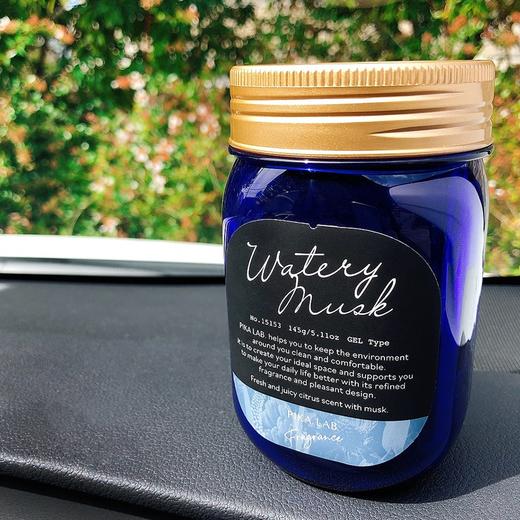 日本DIAX PIKA实验室固体香氛 商品图5