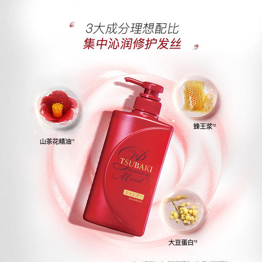 BF| 丝蓓绮沁润臻致滋润洗护套装490ml*2（普通快递） 商品图2