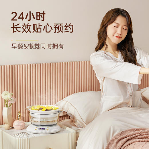 长帝养生锅电炖锅炖盅隔水炖家用煮粥神器陶瓷煲汤锅燕窝专用炖盅 商品图4