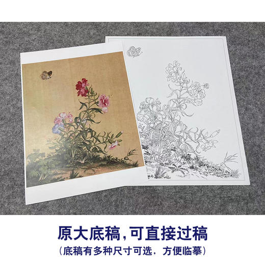 【大彩图】郎世宁工笔画白描底稿小品《仙萼长春册》虞美人与蝴蝶花临摹勾线高清打印稿LT05 商品图1