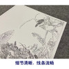 【大彩图】郎世宁工笔画白描底稿小品《仙萼长春册》豆花临摹勾线高清打印稿LT14 商品缩略图4