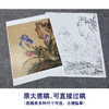 【大彩图】郎世宁工笔画白描底稿小品《仙萼长春册》石竹临摹勾线高清打印稿LT07 商品缩略图1