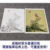 【大彩图】郎世宁工笔画白描底稿小品《仙萼长春册》虞美人与蝴蝶花临摹勾线高清打印稿LT05 商品缩略图3