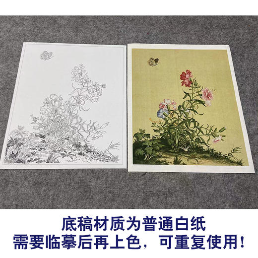 【大彩图】郎世宁工笔画白描底稿小品《仙萼长春册》虞美人与蝴蝶花临摹勾线高清打印稿LT05 商品图3