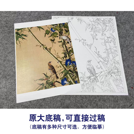 【大彩图】郎世宁工笔画白描底稿小品《仙萼长春册》翠竹牵牛花临摹勾线高清打印稿LT12 商品图1