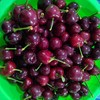 丞起樱桃三级果 商品缩略图0