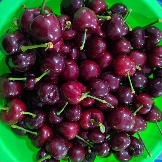 丞起樱桃三级果 商品图0