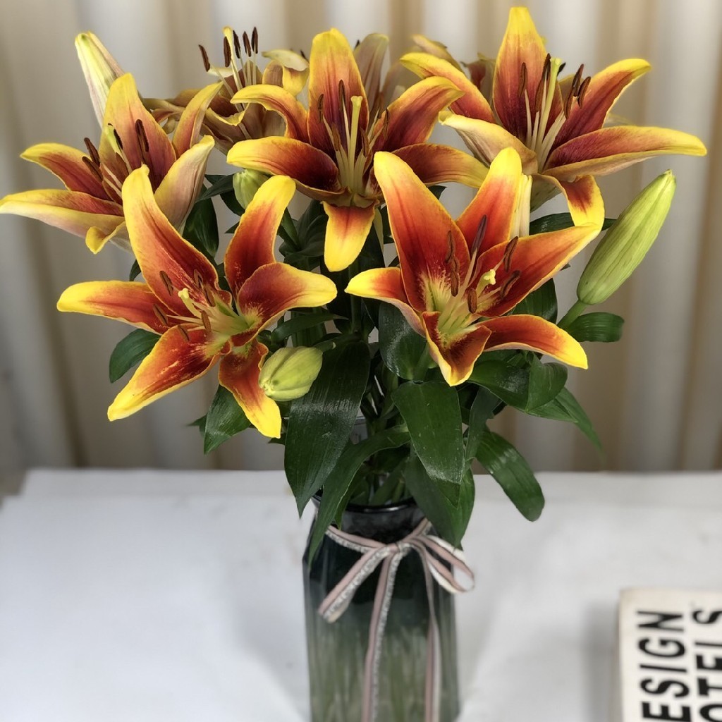 三头皇冠百合5枝10枝冷链包邮