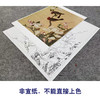 【大彩图】郎世宁工笔画白描底稿小品《仙萼长春册》海棠与玉兰临摹勾线高清打印稿LT04 商品缩略图2