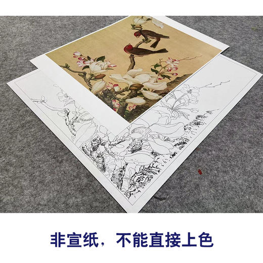 【大彩图】郎世宁工笔画白描底稿小品《仙萼长春册》海棠与玉兰临摹勾线高清打印稿LT04 商品图2