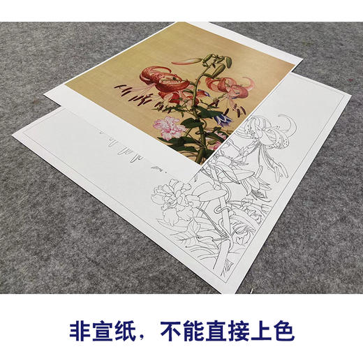 【大彩图】郎世宁工笔画白描底稿小品《仙萼长春册》百合花与缠枝牡丹临摹勾线高清打印稿LT11 商品图2