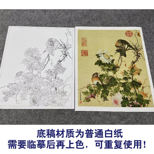【大彩图】郎世宁工笔画白描底稿小品《仙萼长春册》菊花临摹勾线高清打印稿LT16 商品图3