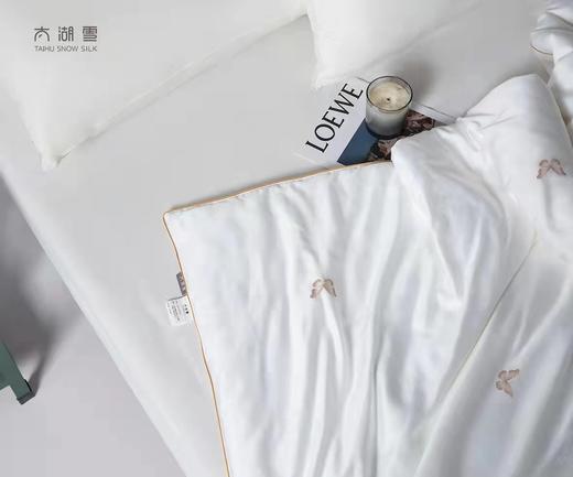 太湖雪蝶语江南3斤蚕丝被 商品图1