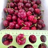 丞起美早樱桃二级果（28-30mm） 商品缩略图0