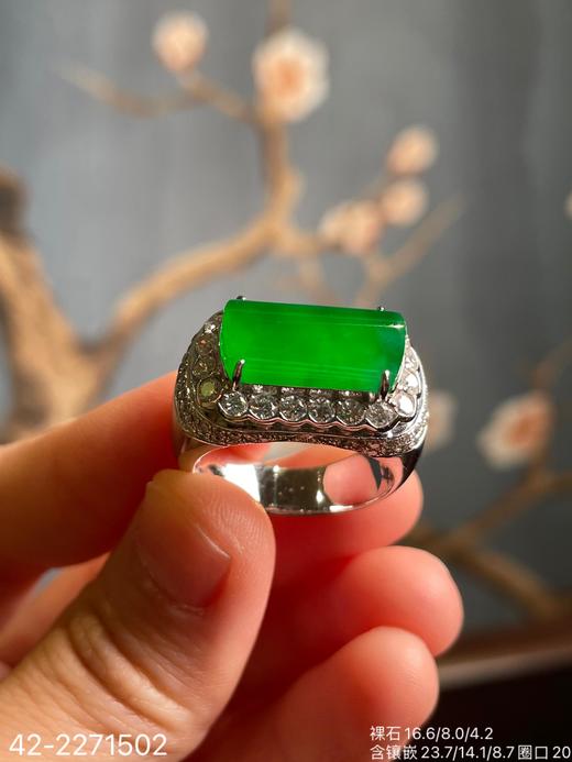 老坑玻璃艳绿马鞍戒指【42-2271502】具体价格微信咨询 商品图1